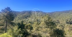 Magnífica propiedad enclavada en plena naturaleza