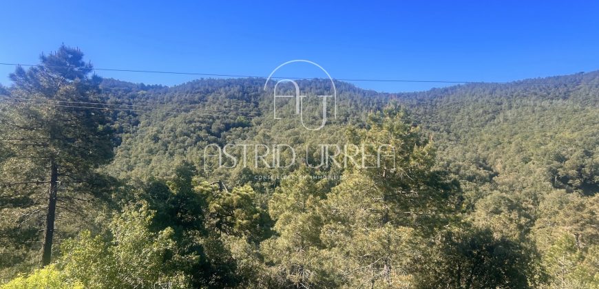 Magnífica propiedad enclavada en plena naturaleza