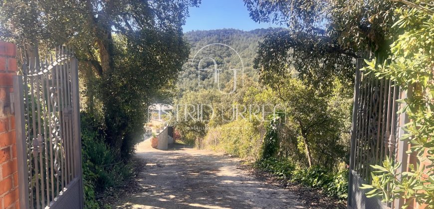 Magnífica propiedad enclavada en plena naturaleza